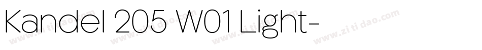 Kandel 205 W01 Light字体转换